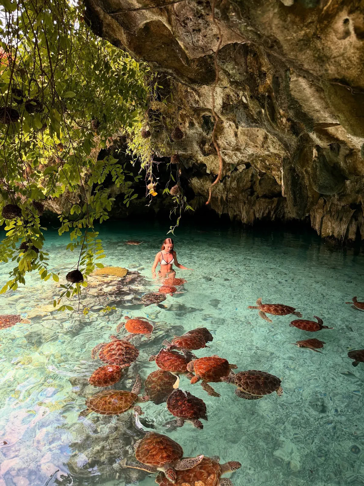 Swimmer wading among green sea turtles in the crystal-clear turquoise lagoon of a coral cave in Nungwi, Zanzibar.