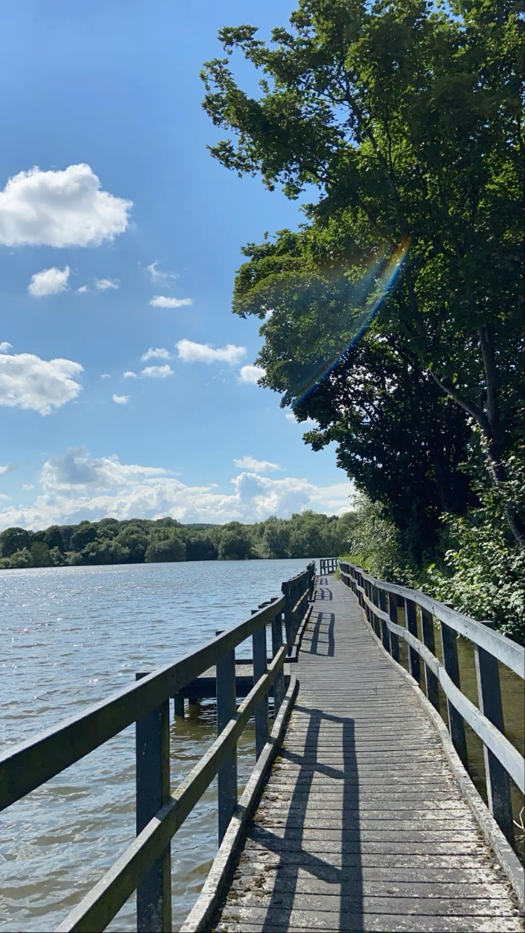 Timber lakeside boardwalk curving along calm blue water under leafy trees and a bright summer sky.