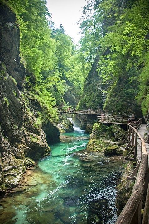 Wooden boardwalk winding through a lush green gorge above an emerald river pool.