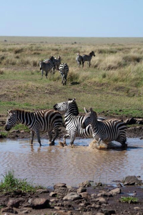 Namibia travel photo 5
