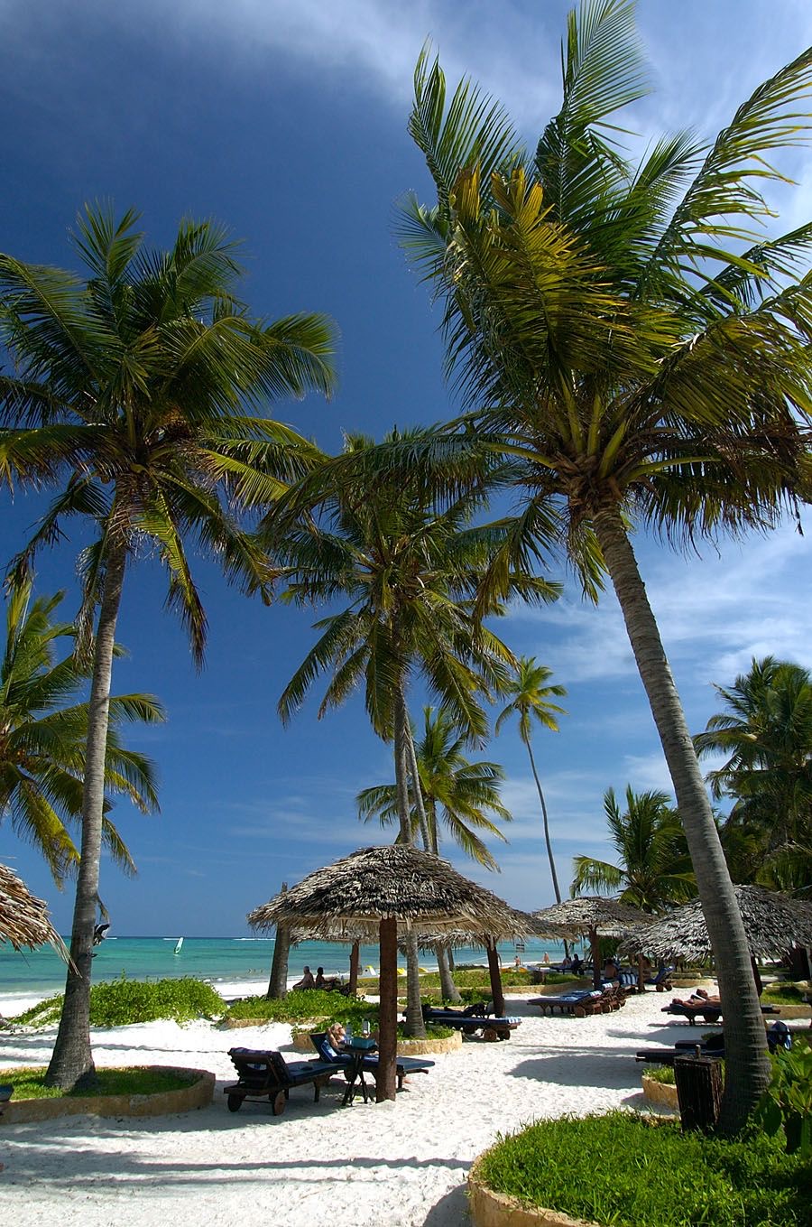 Towering coconut palms and thatched palapa sunbeds on a powder-white Zanzibar beach beside the turquoise Indian Ocean.