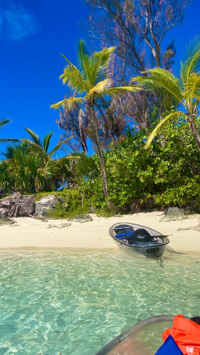 Transparent kayak floating on crystal-clear shallows beside a wild palm-fringed Zanzibar beach cove.