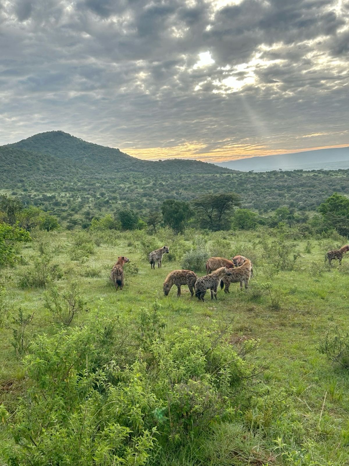 Namibia travel photo 6