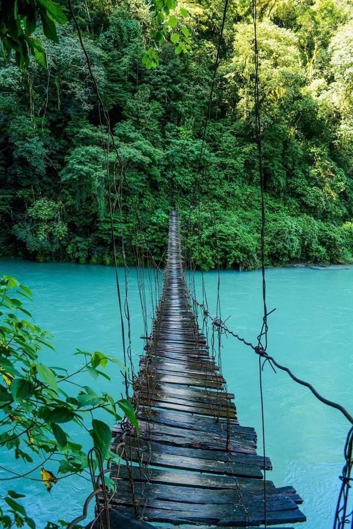 Rustic wooden rope bridge crossing a vivid turquoise jungle river surrounded by dense rainforest.