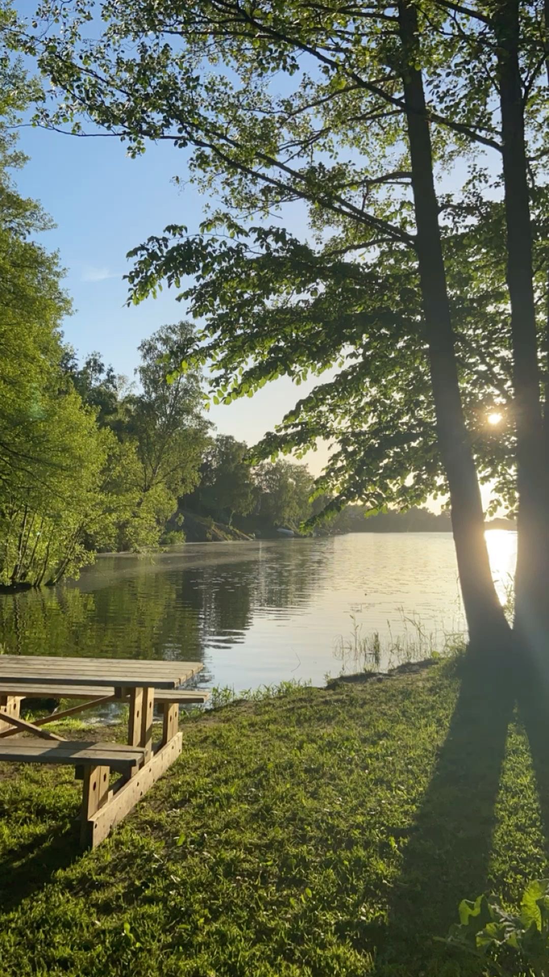 Wooden picnic table on a grassy lakeshore with sunlight streaming through tall trees over still water.