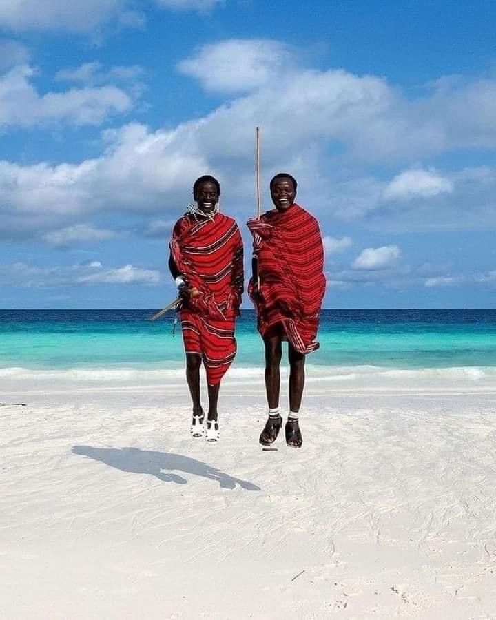 Maasai elder in red shuka walking across the savanna.